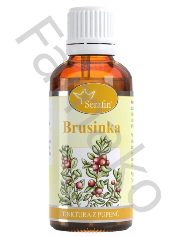 Brusinka – tinktura z pupenů - 50 ml