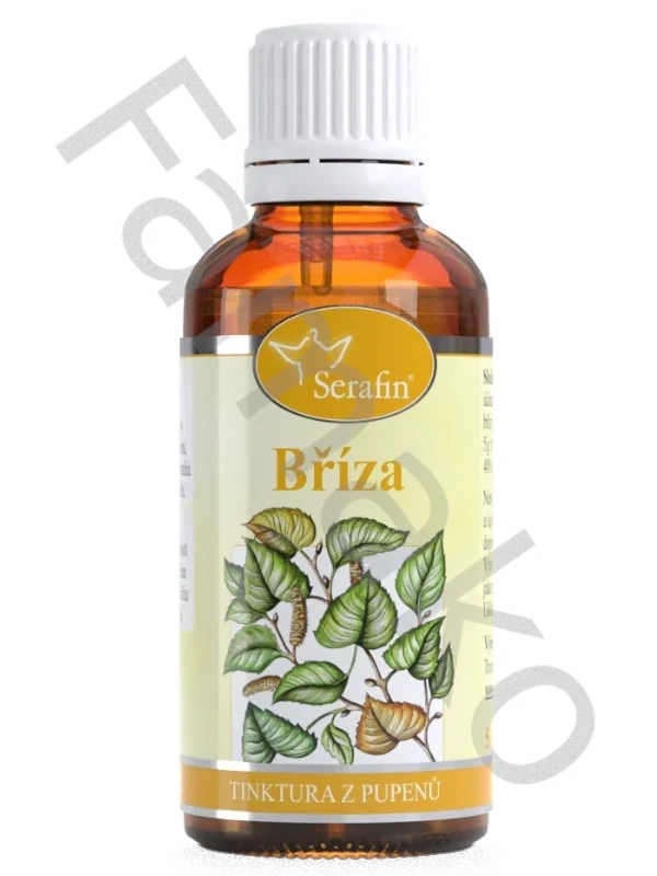 Bříza – tinktura z pupenů - 50 ml