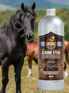 Sirup Kloubní výživa Artroregen Eq 1000 ml