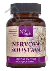 NERVOVÁ SOUSTAVA - POHYBOVÝ APARÁT - 90 tobolek