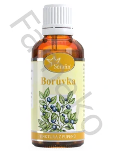 Borůvka – tinktura z pupenů - 50 ml