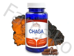 Chaga - 60 kapslí