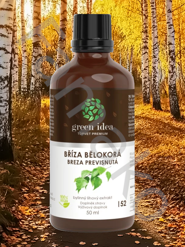 Bříza bělokorá tinktura - kapky 50 ml