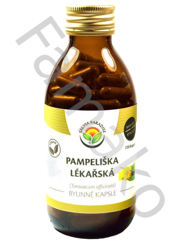 Pampeliška lékařská kapsle 120 ks kapslí