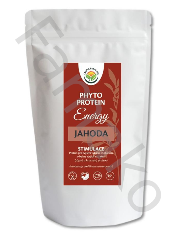 Phyto Protein Energy - jahoda 300 g 