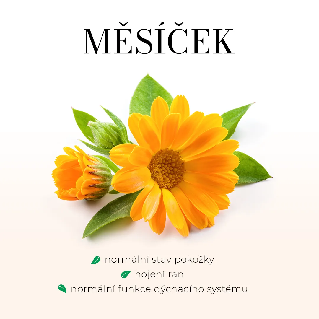Měsíčková mast 50 ml