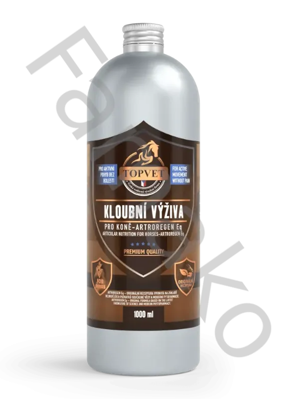 Sirup Kloubní výživa Artroregen Eq 1000 ml