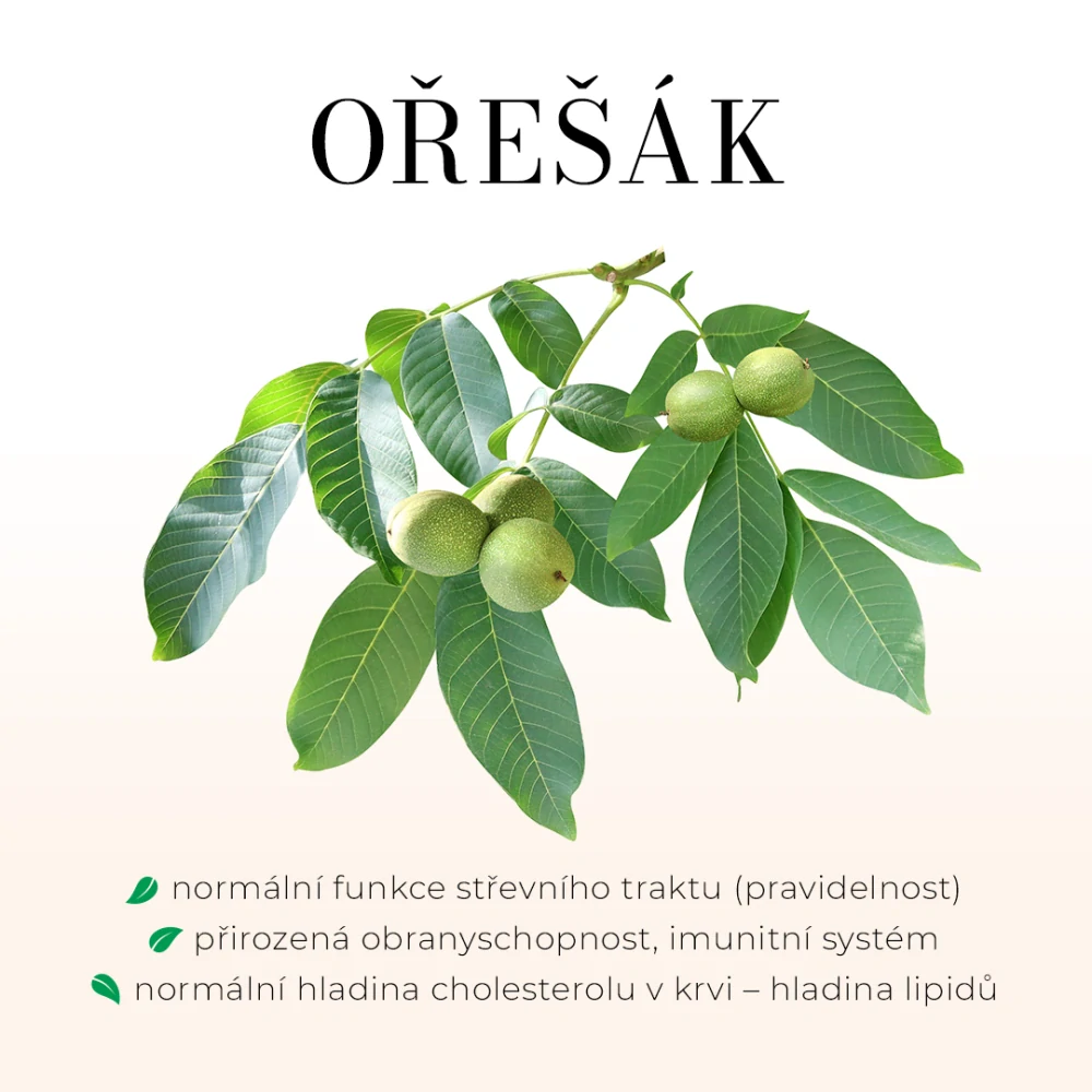 Ořešák královský bylinný extrakt - 60 tobolek