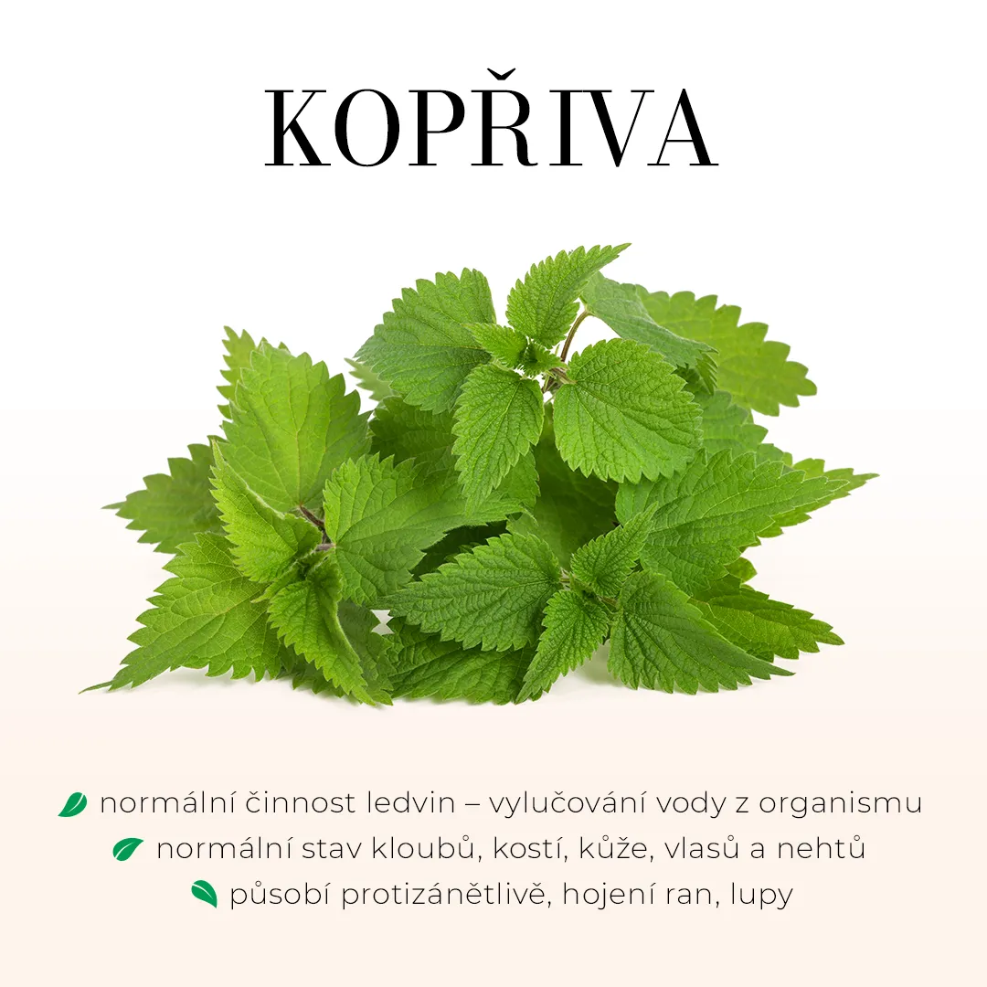 Hairbeauty - krásné vlasy 