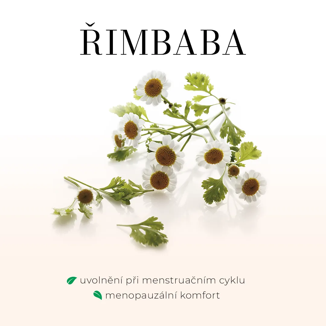 Řimbaba obecná - bezlihová tinktura 100ml