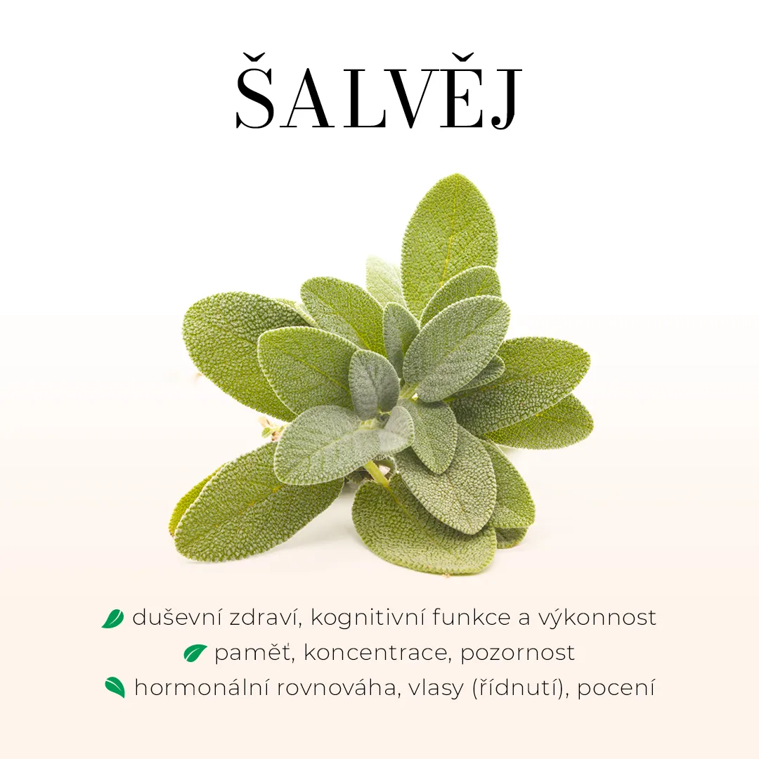 Šalvěj lékařská - bezlihová tinktura 100 ml