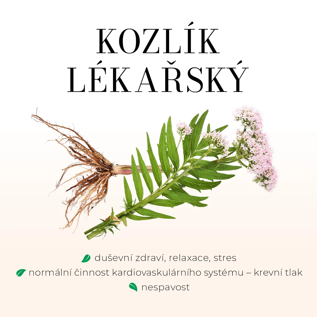 Spánek - bezlihová tinktura 100 ml