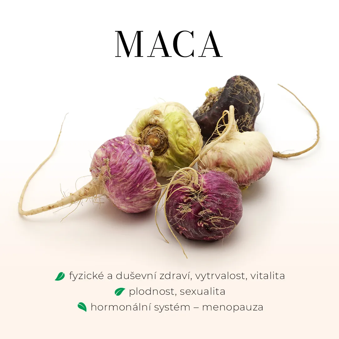Maca - bezlihová tinktura 100 ml