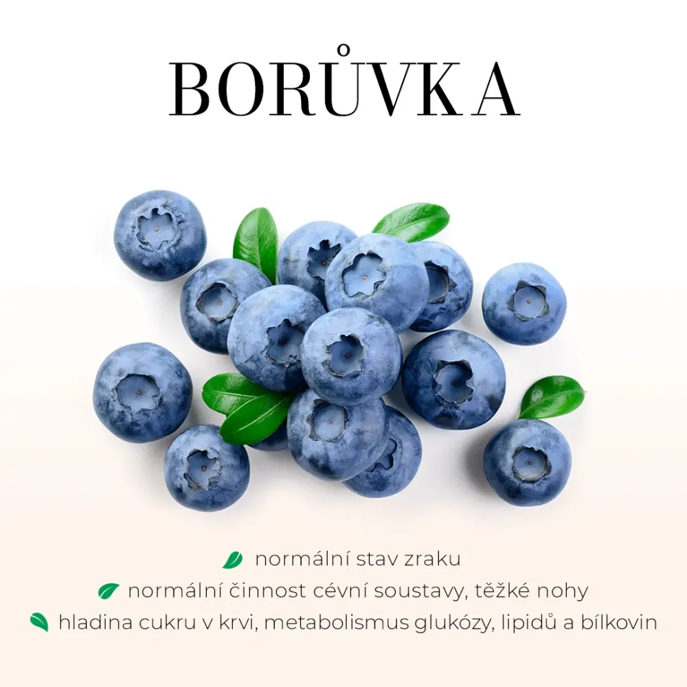 Borůvka sirup - Třtinový