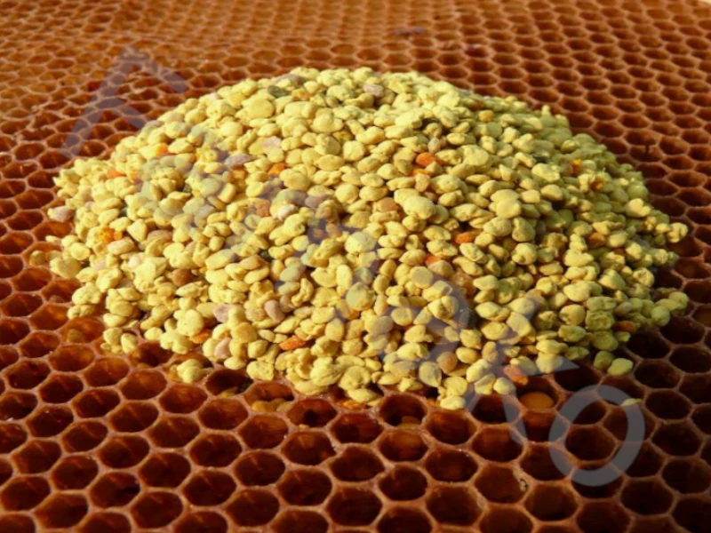 Včelí květový pyl rouskovaný - 100g