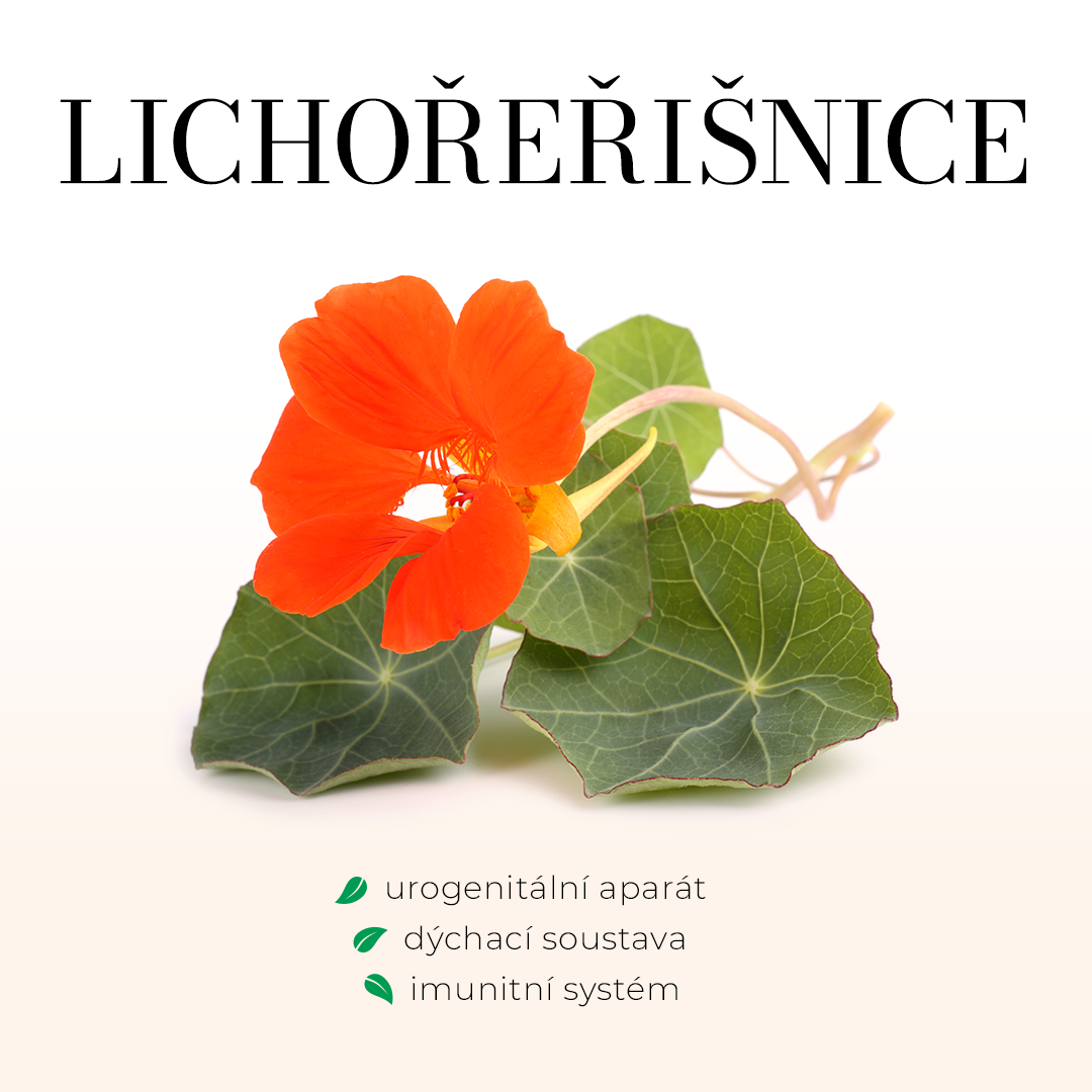 Lichořeřišnice+ s piperinem - tobolky 60 ks 