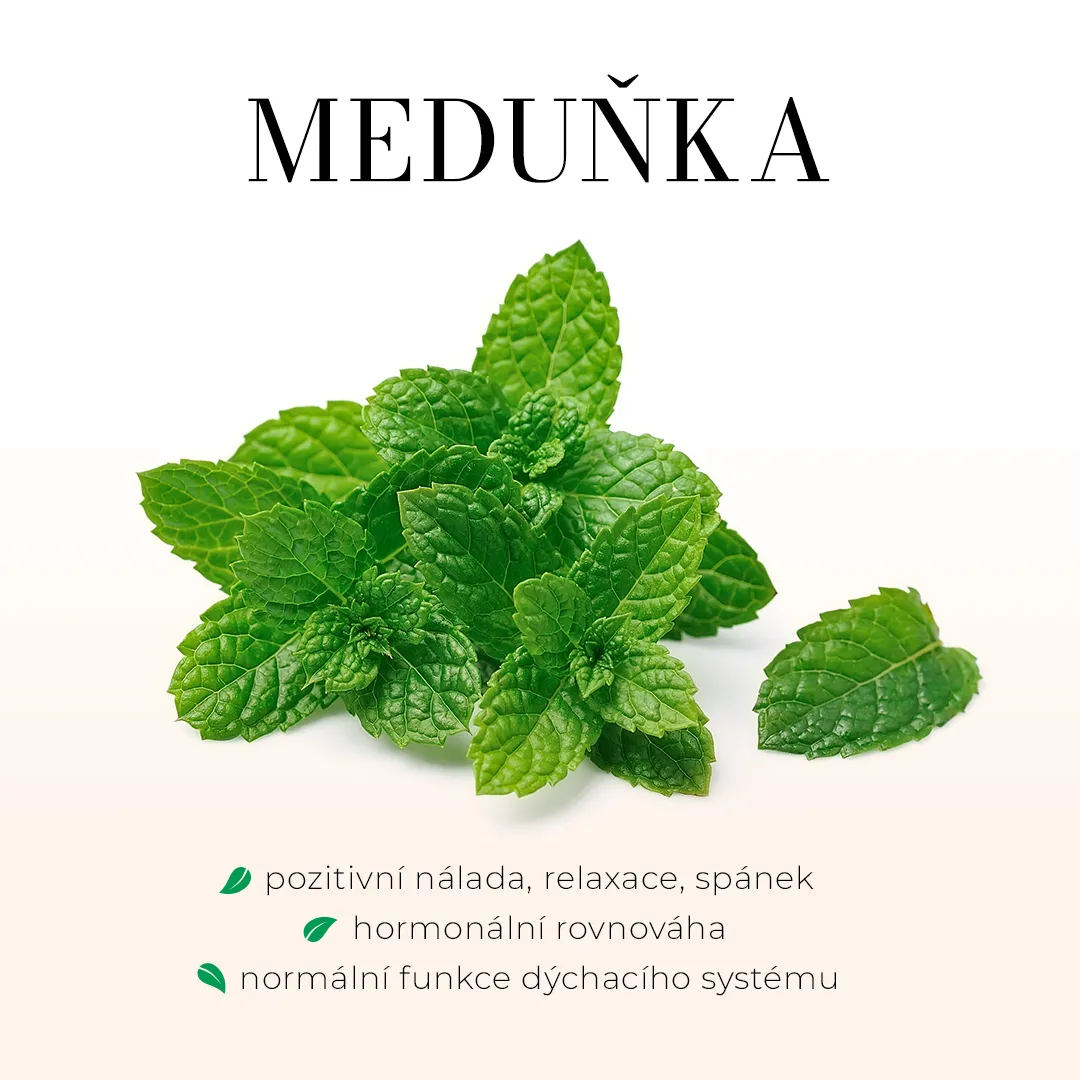 Spánek - bezlihová tinktura 100 ml