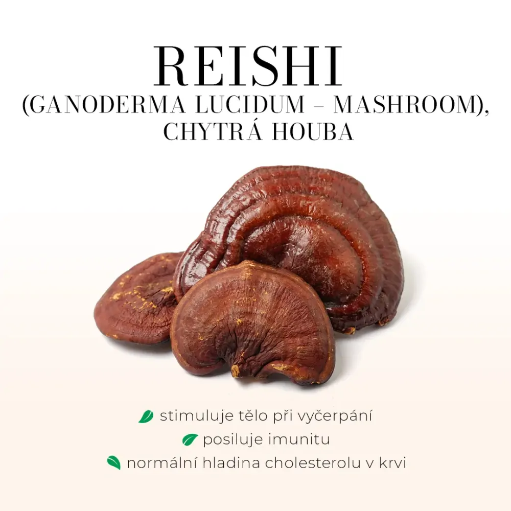 Reishi 60 tobolek
