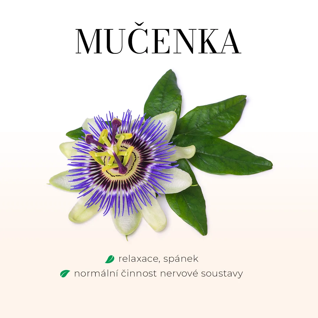 Spánek - bezlihová tinktura 100 ml