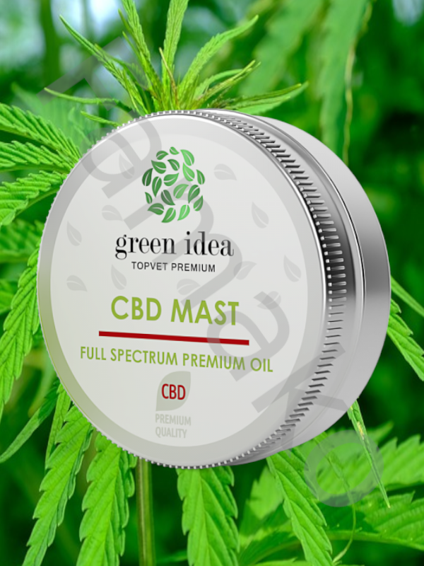 CBD mast